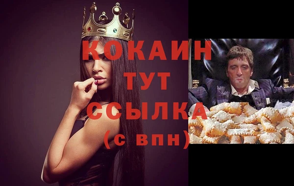 дмт Абинск